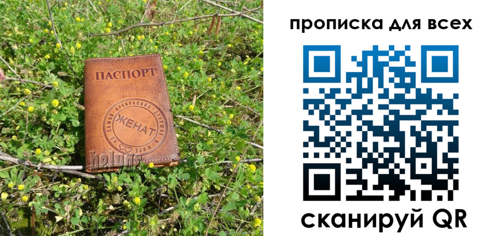 прописка поиск в Таштаголе